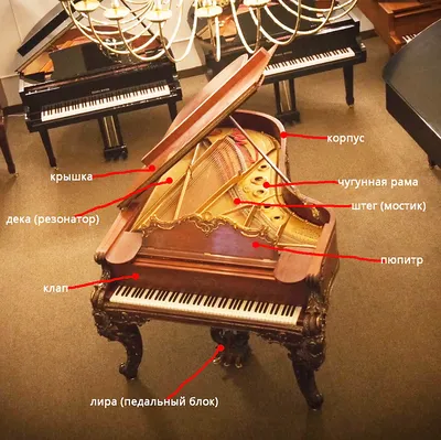 Цифровой рояль VS Акустический рояль - музыкальные инструменты в МузДело