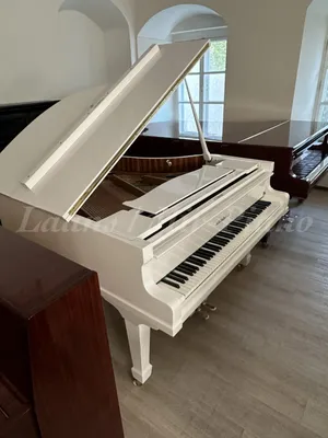 Большой концертный рояль 290 Imperial - Рояли и Пианино Bösendorfer -  Модели - Bösendorfer