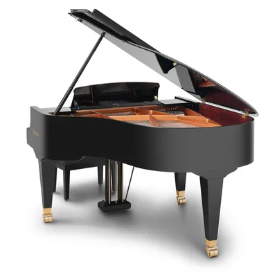 Концертный рояль 230VC - Рояли и Пианино Bösendorfer - Модели - Bösendorfer