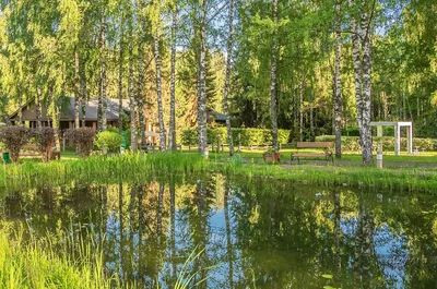 Эко отель Романов Лес, Кострома - «Отель в лесу. Какой он отдых вдали от  городской суеты?» | отзывы