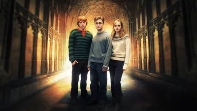 Ron Weasley Hermione Granger Harry Potter Cursed Child