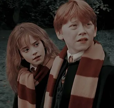 Hermione And Ron's 10 Best Interactions In The Harry Potter Movies