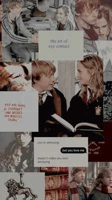 Harry Potter: Why Hermione and Ron Should Not Have Ended Up Together