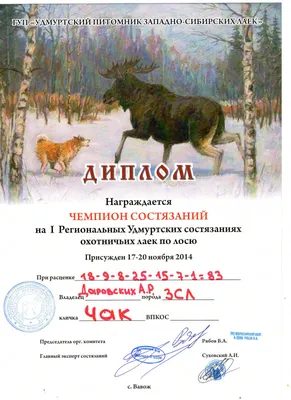Питомник западно-сибирских лаек. Адрес - Селтинский р-он, д. Старые Копки