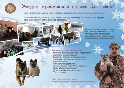 ЗСЛ Загайнова В.В. - Страница 5 - Собаки пользователей форума - Собаки и  охотничье собаководство