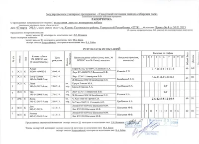 I закрытые Удмуртские Региональные состязания по вольному лосю. -  Состязания и испытания - Собаки и охотничье собаководство