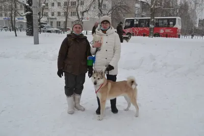 Контент Kopki_dog - Страница 2 - Собаки и охотничье собаководство