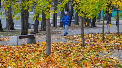 Отдых в Ростовской области. Все что нужно знать о Ростовской области:погода,  карта, достопримечательности, отели