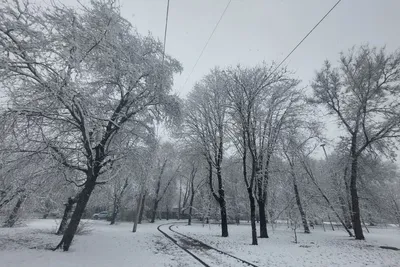 Прогноз погоды в Ростове-на-Дону на сегодня (Ростовская область) - погода в  Ростове-на-Дону сейчас, прогноз на завтра и на ближайшие дни - Погода  Mail.ru