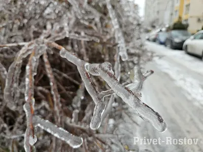 В Ростовской области сильный ветер согнал воду с реки Дон: фото и видео »  Ростовская область сегодня! Новости Ростова-на-Дону и региона