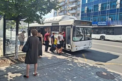 Старые автобусы из Ростова вышли на маршруты в Волгодонске | АВТО:  Транспорт | АВТОМОБИЛИ | АиФ Ростов-на-Дону