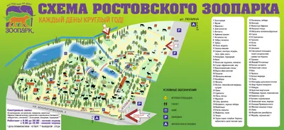 Экскурсия в Ростовский зоопарк