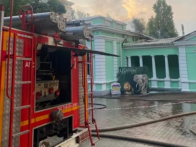 Трогательный зоопарк на Театральной площади, Ростов-на-Дону. Цены, адрес,  фото, как добраться — Туристер.Ру