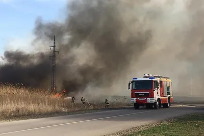 Пожар на рынке в Ростове-на-Дону локализовали на площади в 4 тыс. кв. м —  РБК