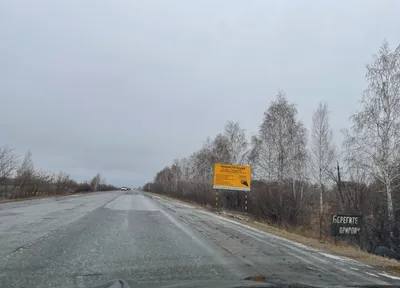 Омск - Москва - Омск на А321 \"Уральских авиалиний\"