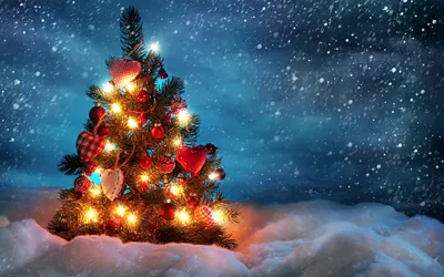 Christmas Hd Wallpapers Background, Christmas Joy Picture, Christmas, Joy  Background Image And Wallpaper for Free Download