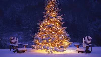 Christmas Tree Santa Claus 4K Wallpaper iPhone HD Phone #8440i