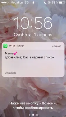 День смеха 1 апреля 2022 года: шутки и розыгрыши, прикольные новые открытки  для друзей и коллег - sib.fm