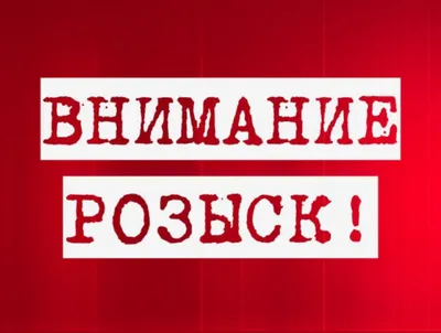 Возможным мотивом преступления воронежского подрывника назвали убийство  коровы Куклы – Новости Воронежа и Воронежской области – Вести Воронеж