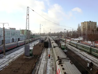 В Саратовской области пропал 70-летний пенсионер, страдающий потерей памяти  - province.ru