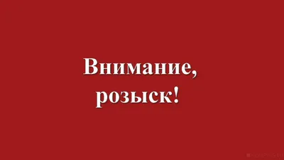 ЛизаАлерт»: волонтеры отряда Томской области ведут поиск пропавшего  молодого человека - KP.RU