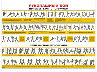 Как освоить рукопашный бой. Что важно знать начинающим :: Лайфстайл :: РБК  Спорт