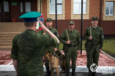 В Омской области начался ремонт дороги Омск — Русская Поляна — Харламово |  12 канал