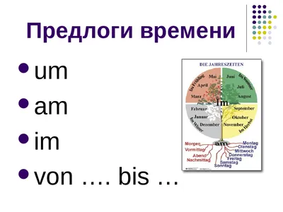 Отзыв о Книга \"Предлоги в картинках\" - И.Н. Бобырь, Н.С. Здыхальский, Н.Н.  Здыхальская, В.Д. Талан | Все о предлогах в тонкой брошюрке