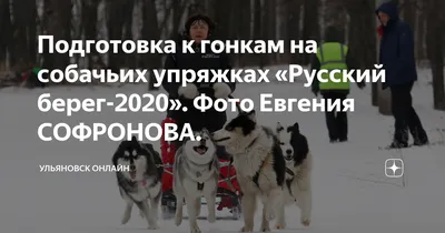 Березовая роща”-2. Соловьев просит Русских придать берегу озера в Лаишевке  статус пляжа и сделать “рекреацию” Улпресса - все новости Ульяновска