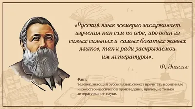 Тест: Действительно ли ты знаешь русский язык? - Новости Тулы и области -  MySlo.ru