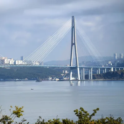 Ванты моста на остров Русский во Владивостоке планируется ремонтировать в  два этапа - Росавтодор - Дальний Восток || Интерфакс Россия
