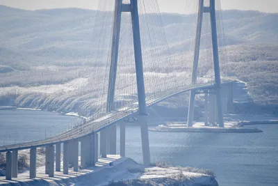 File:\"Russian bridge\" in Vladivostok.jpg - Wikipedia