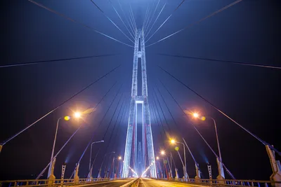 Владивосток: мост на остров Русский с купюры 2000 рублей | 33ways:  путешествия и впечатления | Дзен
