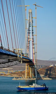 Русский мост во Владивостоке: фото, история, интересные факты, отзывы, как  добраться