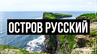 Владивосток: путешествие на остров Русский, лучший океанариум и розыгрыш  5000. - YouTube