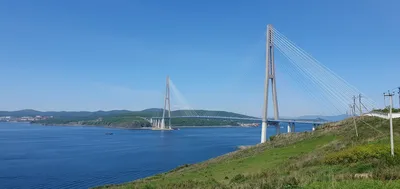 Приморский океанариум, Владивосток, остров Русский