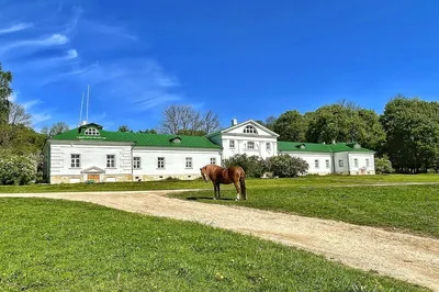 Благовещенская церковь (Тула) — Википедия