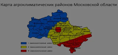 Актер-Руза Москва, МО, дер. Старая Руза, ул. Дом творчества ВТО — снять Зал  Сцена на компанию до 100 человек