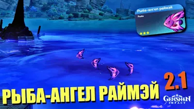 ГОЛУБАЯ РЫБА АНГЕЛ (Chaetodontoplus caeruleopunctatus) » Домашний аквариум