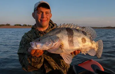 НЕОБЫЧНЫЕ РЫБЫ АМУРА, КИТАЙСКИЙ ОКУНЬ- АУХА, ВЕРХОГЛЯД,АМУРСКАЯ ЩУКА, |  Fisherman DV.27RUS | Дзен