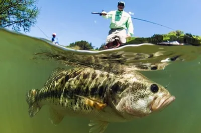 Bass.Fishing.Cyprus