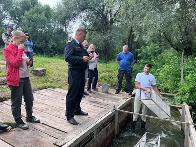 Как почувствовать себя на рыбалке, будто рыба в воде? Про носаря |  Физкультура и спорт | ШколаЖизни.ру