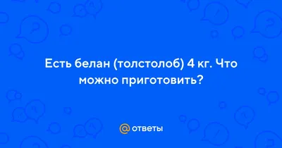 Что за рыба белый амур, и «с чем ее едят». Статьи компании «\"FISHLAND\" -  интернет магазин товаров для рыбалки»