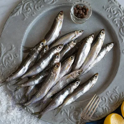 https://frost-fish.ru/catalog/ryba/nelma-svezhemorozhenaya-4-5-kg.html