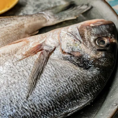 Сибас потрошеный жаброванный с головой без чешуи, мороженый, 1 кг купить в  Минске: недорого в интернет-магазине Едоставка