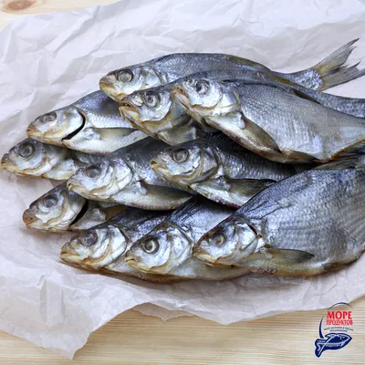 Pile Of Just Taken From The Water Big Freshwater Common Bream Known As  Bronze Bream Or Carp Bream (Abramis Brama) And White Bream Or Silver Fish  Known As Blicca Bjoerkna With Fishing