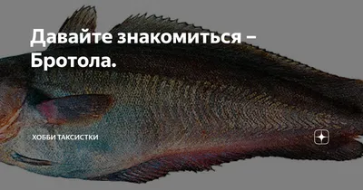 Продам бротола 80-250 - Рыба бротола, купить бротола 80-250 - Рыба бротола,  Киев — Agro-Ukraine