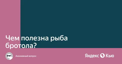 Магазин «Рыболов» Новочеркасск on Instagram: \"Вот это дело — рыбалка,  пикничок! Кидай, брателла, пожитки в рюкзачок, И на рыбалку, на речку, к  костерку, на рыбалку! Вот это дело — рыбалка, пикничок! В