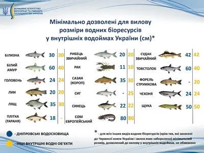 Сом рыб и Ide живут в прудах для того чтобы охладить Чернобыль Стоковое  Фото - изображение насчитывающей исключение, охлаждать: 98544186