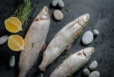 Фоторепортаж: сколько стоит мясо и рыба на Крестьянском рынке в ноябре 2023  года - KP.RU